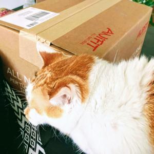 <p>Mia ist &uuml;berzeugte Trockenfutter-Liebhaberin und bekommt die Produkte Ocean und Sensitive.</p>